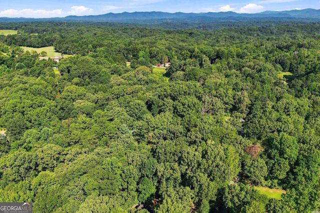 743 Timber Ridge Lane 22, Ellijay, GA 30540