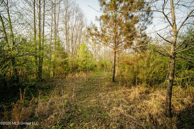 1844 Volley Campbell Road, Terry, MS 39170