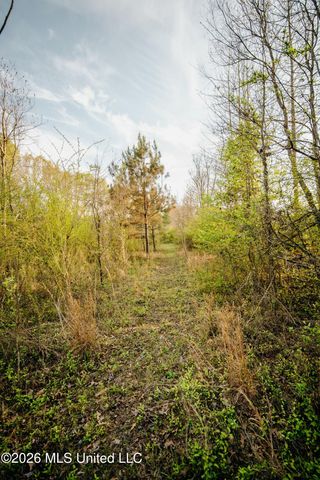 1844 Volley Campbell Road, Terry, MS 39170