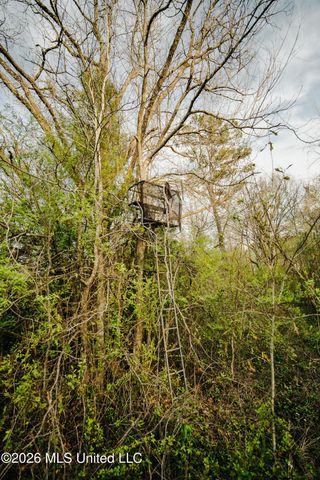 1844 Volley Campbell Road, Terry, MS 39170