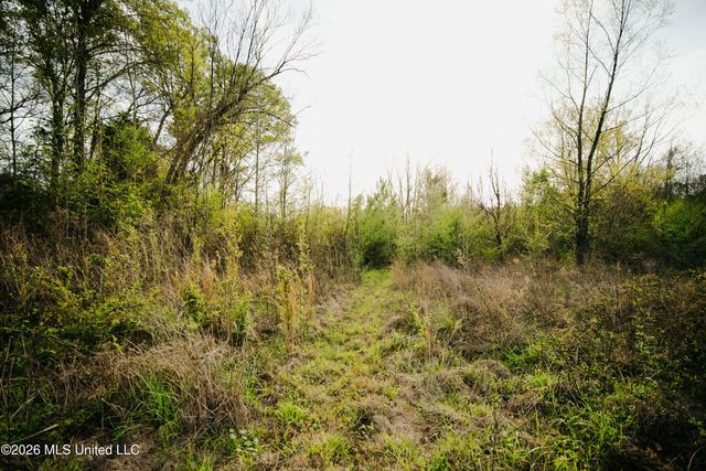 1844 Volley Campbell Road, Terry, MS 39170