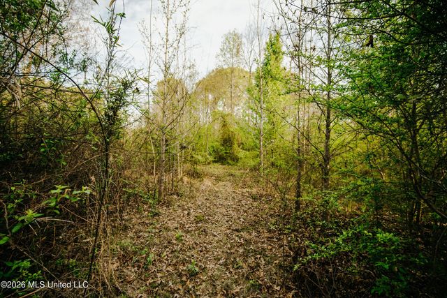 1844 Volley Campbell Road, Terry, MS 39170
