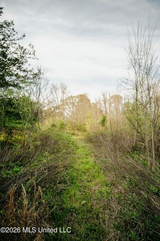 1844 Volley Campbell Road, Terry, MS 39170