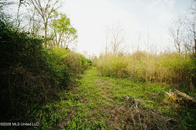 1844 Volley Campbell Road, Terry, MS 39170