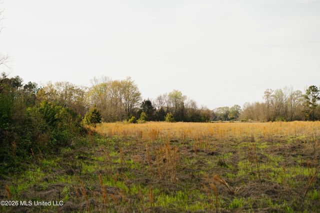 1844 Volley Campbell Road, Terry, MS 39170