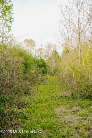 1844 Volley Campbell Road, Terry, MS 39170