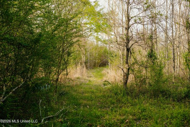 1844 Volley Campbell Road, Terry, MS 39170