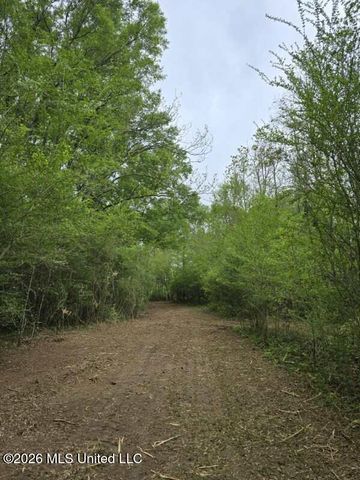 1844 Volley Campbell Road, Terry, MS 39170