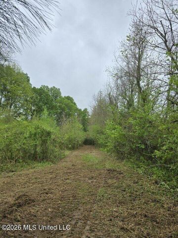 1844 Volley Campbell Road, Terry, MS 39170