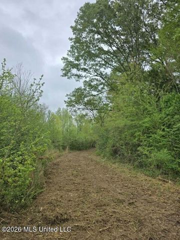 1844 Volley Campbell Road, Terry, MS 39170