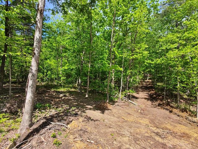 321 Lakeside Drive, Graysville, TN 37338