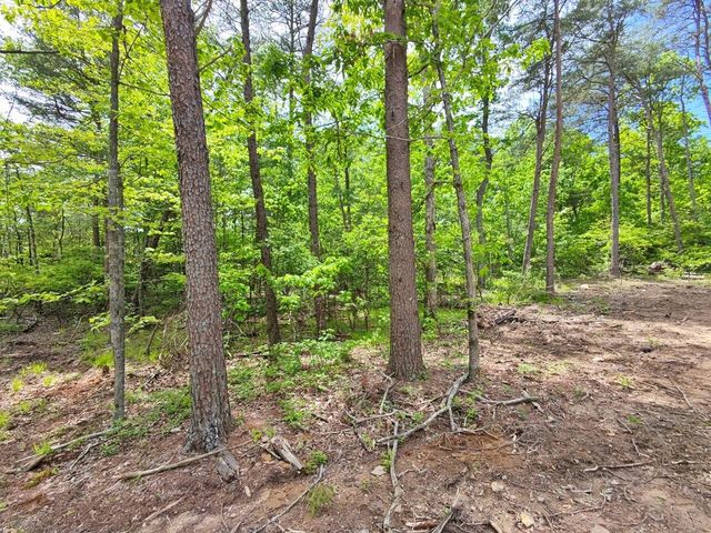 321 Lakeside Drive, Graysville, TN 37338