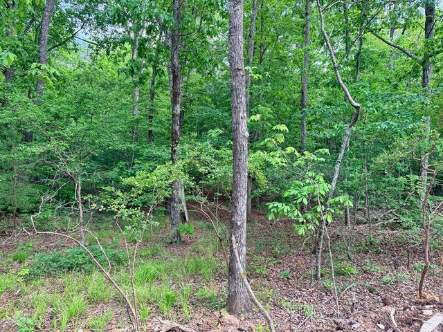 321 Lakeside Drive, Graysville, TN 37338