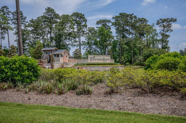 14358 Whitetop Peak Court, Conroe, TX 77384