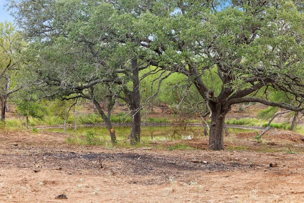 700 CR 171, Nixon, TX 78140