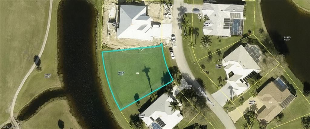 11883 Princess Grace CT, CAPE CORAL, FL 33991 — exterior