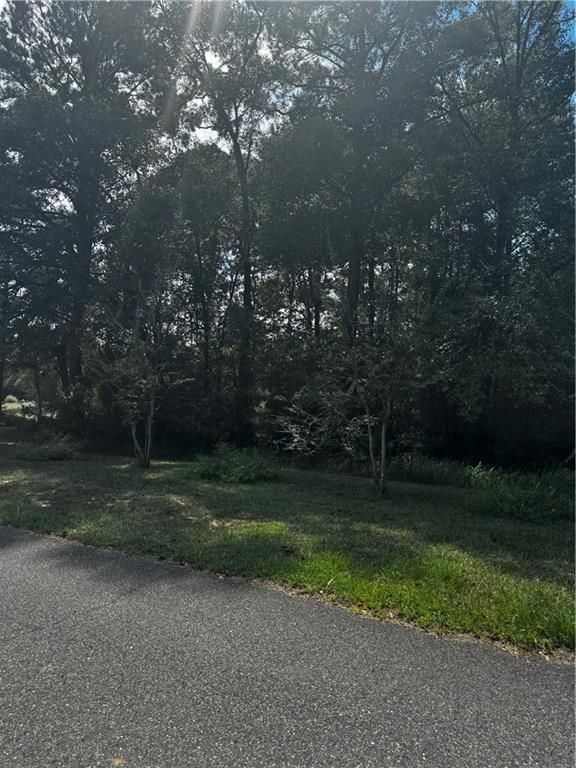 0 Beckham Court, Mount Vernon, AL 36560 — exterior