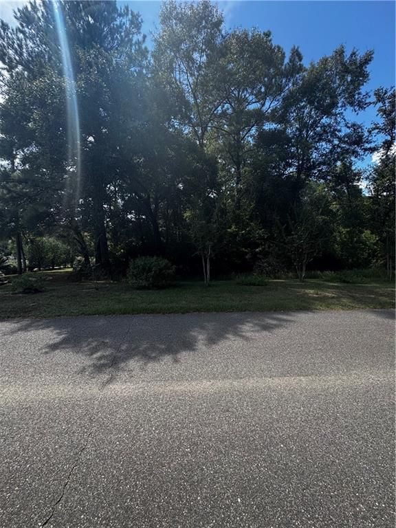 0 Beckham Court, Mount Vernon, AL 36560 — photo 2