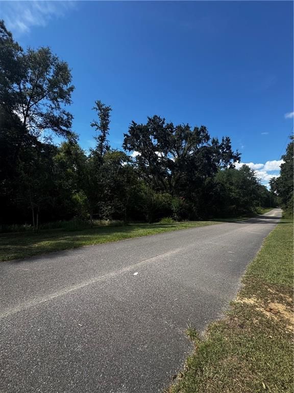 0 Beckham Court, Mount Vernon, AL 36560 — photo 3