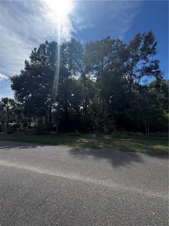 0 Beckham Court, Mount Vernon, AL 36560 — photo 4