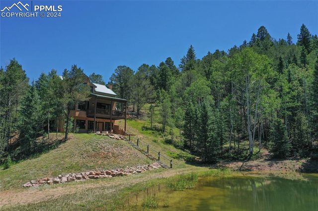600 Beaver Pond Drive, Divide, CO 80814