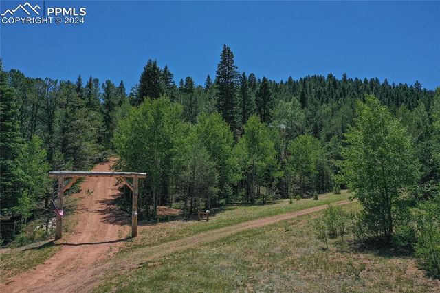 600 Beaver Pond Drive, Divide, CO 80814