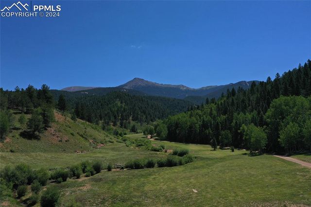 600 Beaver Pond Drive, Divide, CO 80814