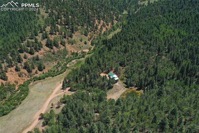 600 Beaver Pond Drive, Divide, CO 80814