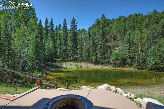 600 Beaver Pond Drive, Divide, CO 80814