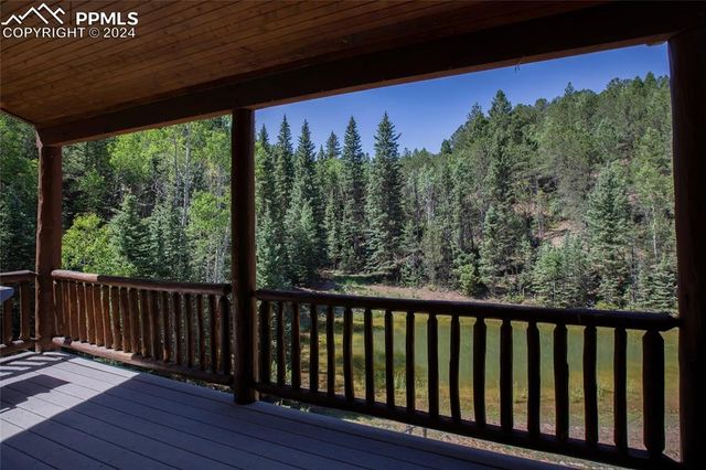 600 Beaver Pond Drive, Divide, CO 80814