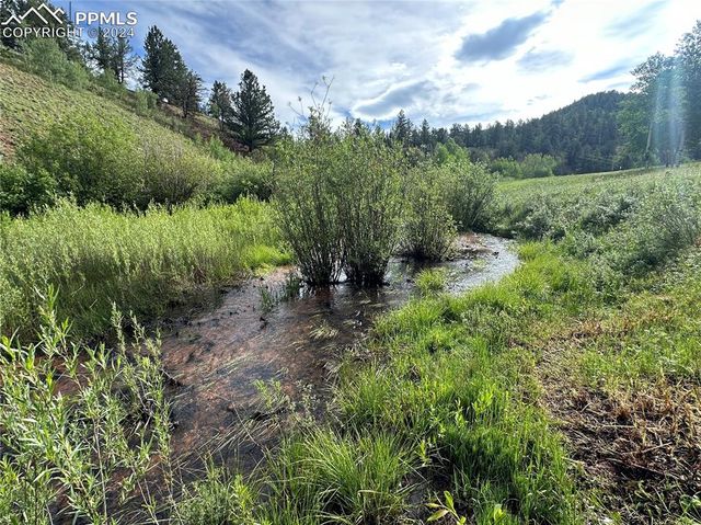600 Beaver Pond Drive, Divide, CO 80814
