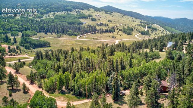 158 Rattler Court, Cripple Creek, CO 80813