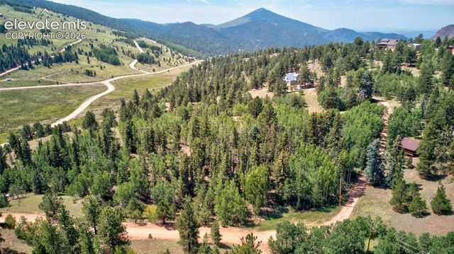 158 Rattler Court, Cripple Creek, CO 80813