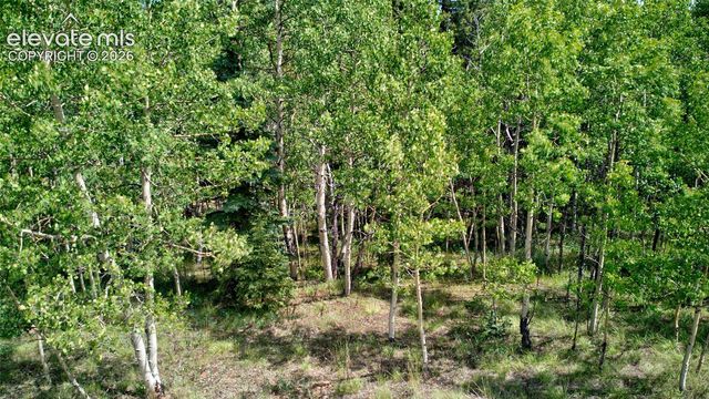 158 Rattler Court, Cripple Creek, CO 80813