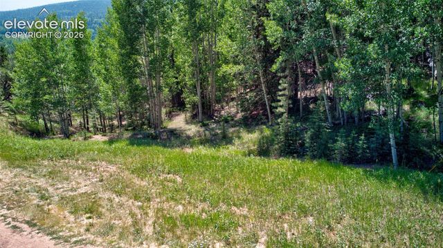158 Rattler Court, Cripple Creek, CO 80813