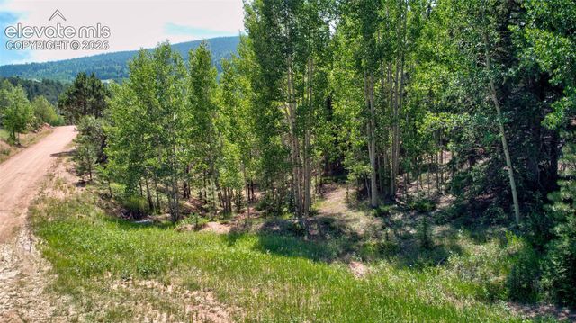 158 Rattler Court, Cripple Creek, CO 80813
