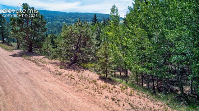 158 Rattler Court, Cripple Creek, CO 80813