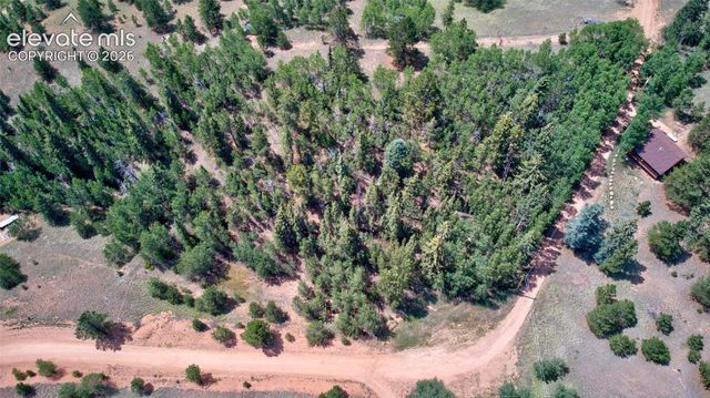 158 Rattler Court, Cripple Creek, CO 80813
