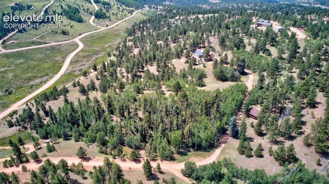 158 Rattler Court, Cripple Creek, CO 80813