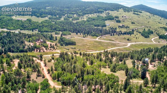158 Rattler Court, Cripple Creek, CO 80813