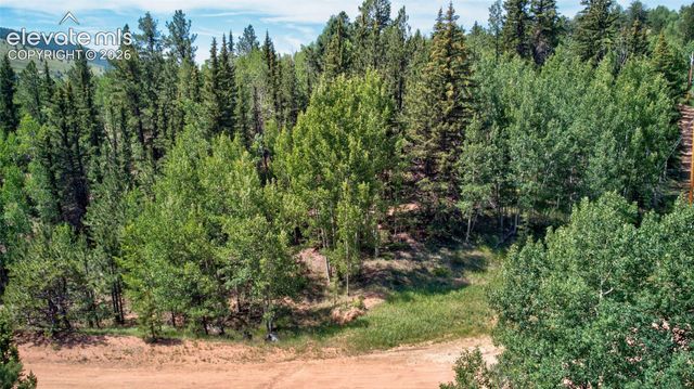158 Rattler Court, Cripple Creek, CO 80813