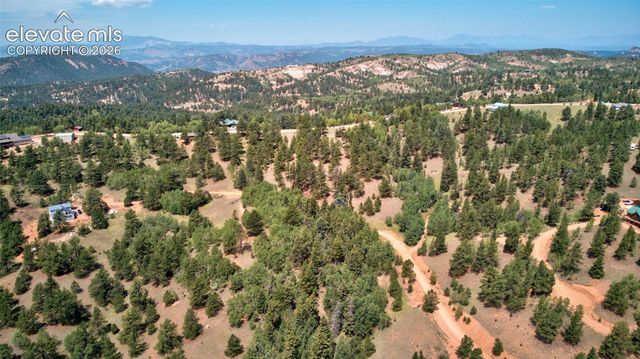 158 Rattler Court, Cripple Creek, CO 80813