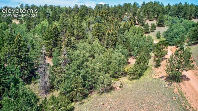 158 Rattler Court, Cripple Creek, CO 80813