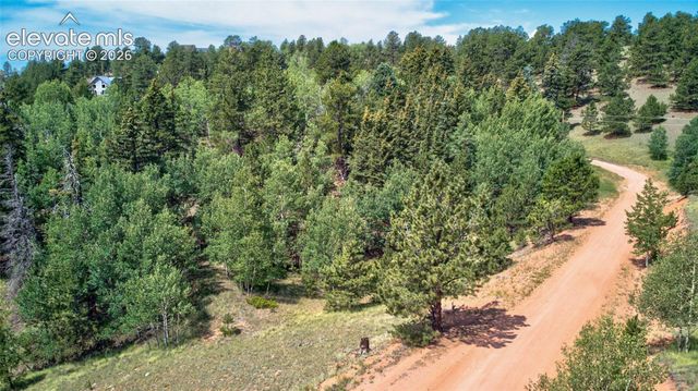 158 Rattler Court, Cripple Creek, CO 80813
