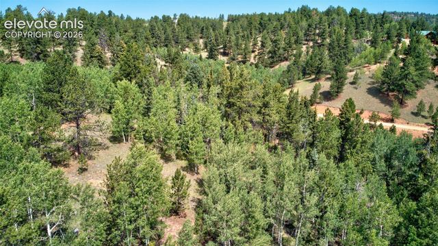 158 Rattler Court, Cripple Creek, CO 80813