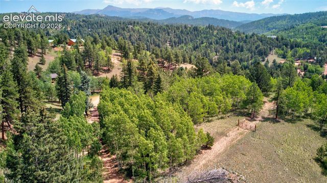 158 Rattler Court, Cripple Creek, CO 80813