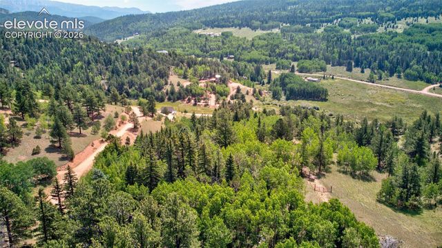158 Rattler Court, Cripple Creek, CO 80813