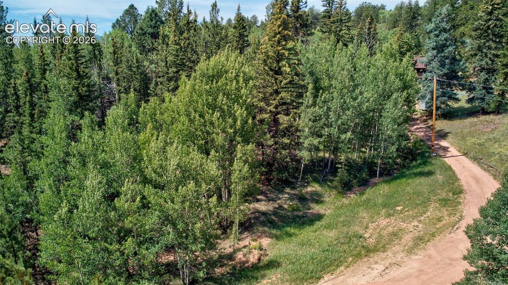 158 Rattler Court, Cripple Creek, CO 80813