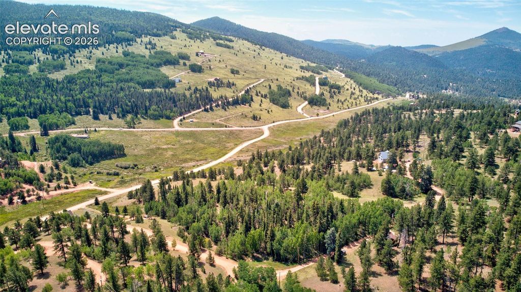 158 Rattler Court, Cripple Creek, CO 80813 — photo 4