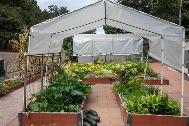 800 Lewis Road, Royal Oaks, CA 95076